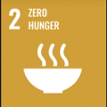 SDG2